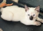 GIRL MANX JULY 26 Profile