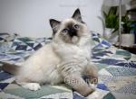 Millicent Profile
