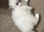Munchkins Profile