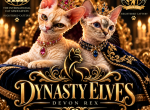Dynasty Elves Devon Rex Profile