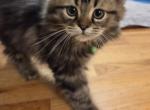 Rudy Profile