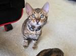 Update 1 Male Available Profile
