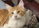 May litter Profile