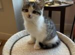 Moshi Scott Profile