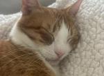 Cleo Profile