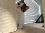 Casper Profile