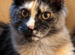 Fiona Profile