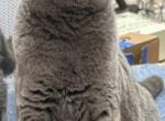Luna Profile