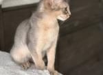Milo Profile