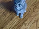 Moon Profile