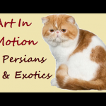 ArtInMotionPersians Profile Photo - Cattery