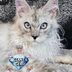 Natalie Profile Photo - Cattery