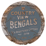 Country View Bengals Profile Photo - Breeder