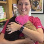 Jennifer Profile Photo - Cat Lover