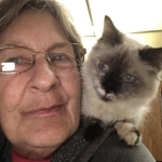 Patricia Profile Photo - Cat Lover