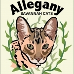 Allegany Savannah Cats Profile Photo - Cattery