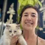 Moonkitten Ragdolls Profile Photo - Cattery