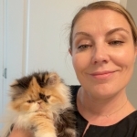 Persian Profile Photo - Breeder