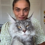 Ekaterina Profile Photo - Cattery