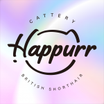 Happurr Cattery Profile Photo - Breeder