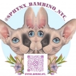 Genesis Profile Photo - Cattery