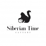Siberian Time Profile Photo - Cattery