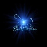 BlueNirvana Profile Photo - Cattery