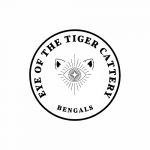 Eye Of The Tiger Cattery Profile Photo - Cattery