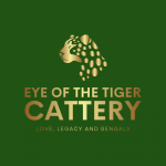 Eye Of The Tiger Cattery Profile Photo - Cattery