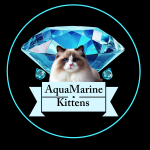 AquaMarine Kittens Profile Photo - Breeder