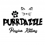 Purrdazzle Profile Photo - Cattery