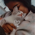 Nivi Profile Photo - Cat Lover