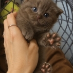 Vera Profile Photo - Breeder