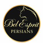 Bel Esprit Profile Photo - Cat Lover