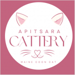 Apitsara Cattery Profile Photo - Breeder
