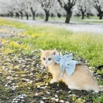 Tien Profile Photo - Breeder