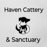 Haven Cattery & Sanctuary Profile Photo - Cattery