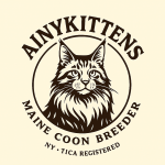 AINYKITTENS Profile Photo - Breeder