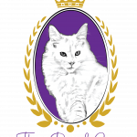 Marcele Profile Photo - Cattery