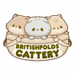 Vicky Profile Photo - Cattery