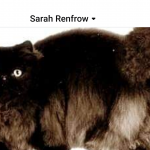 Sarah Profile Photo - Cattery