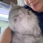 Ginnet Profile Photo - Breeder