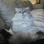 Lenka Profile Photo - Breeder