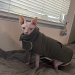 Musya&Boss Profile Photo - Breeder