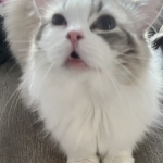 September Profile Photo - Breeder