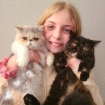 Tory Profile Photo - Breeder