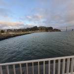 Eman Profile Photo - Cat Lover