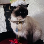 Emily Profile Photo - Breeder