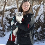 Kimberley Profile Photo - Cattery