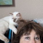 Koy Profile Photo - Breeder